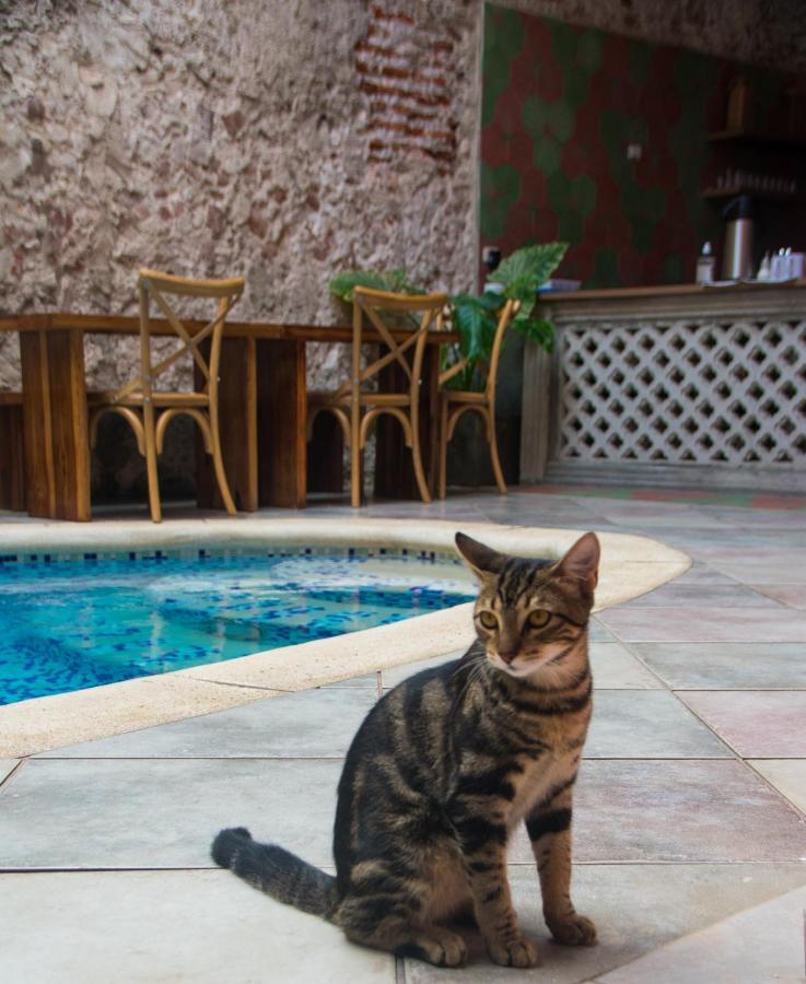 Casa Zahri Boutique Hostel Cartagena Eksteriør bilde